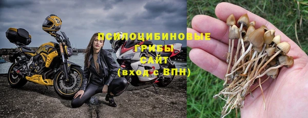 хмурый Волоколамск