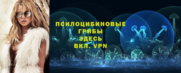 хмурый Волоколамск